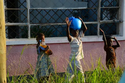 DSC_7996 (Large).JPG